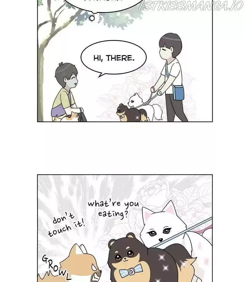 The Dog Diaries Chapter 28