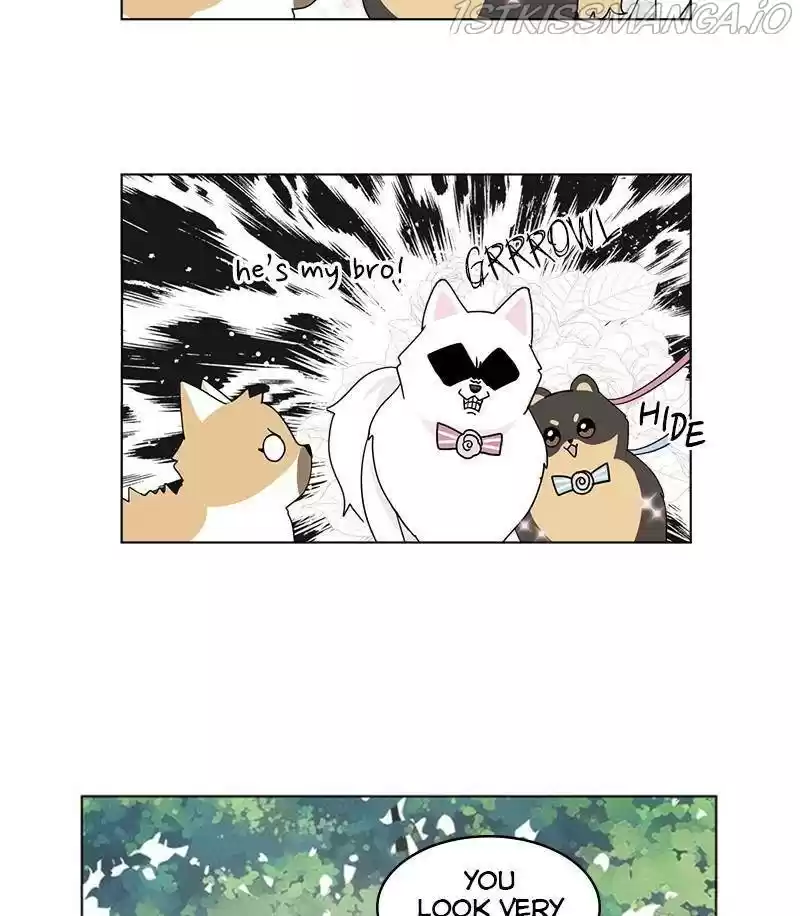 The Dog Diaries Chapter 28