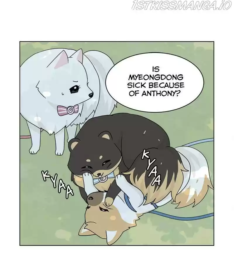 The Dog Diaries Chapter 28