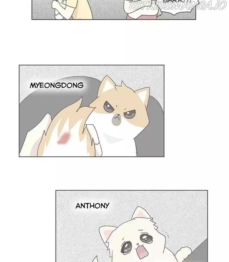 The Dog Diaries Chapter 28