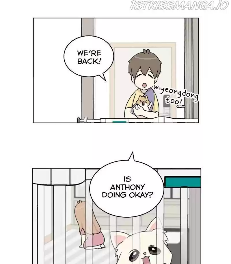 The Dog Diaries Chapter 28