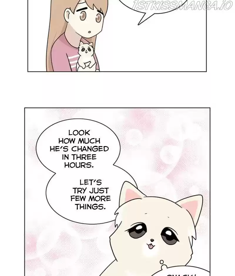 The Dog Diaries Chapter 28