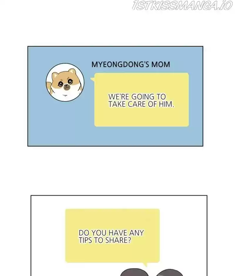 The Dog Diaries Chapter 28