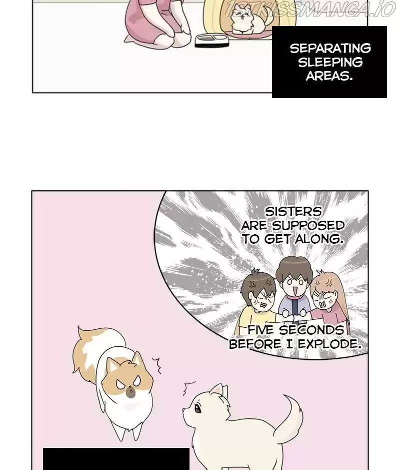 The Dog Diaries Chapter 28