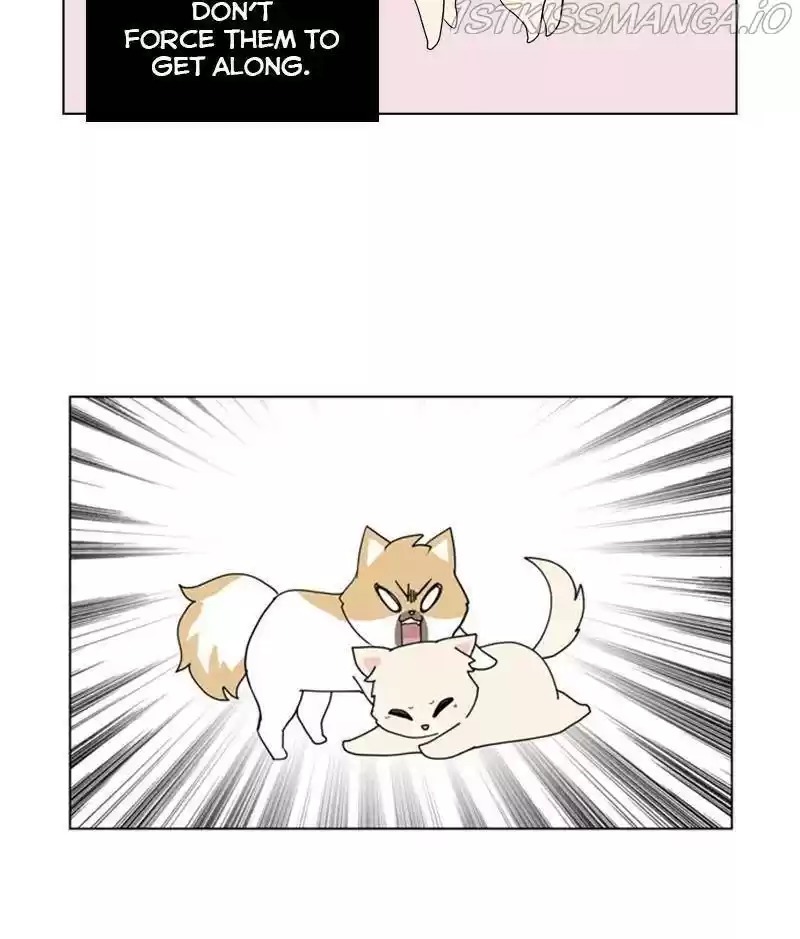 The Dog Diaries Chapter 28