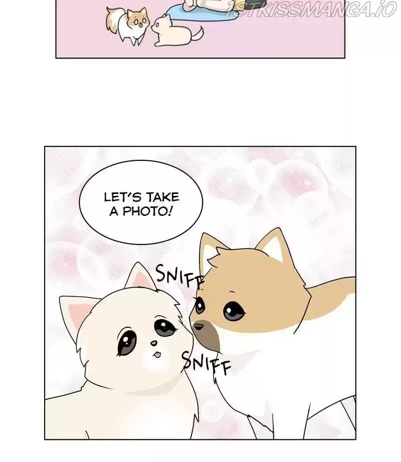 The Dog Diaries Chapter 29