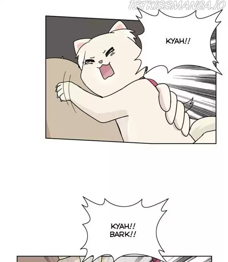 The Dog Diaries Chapter 29