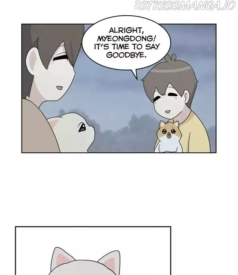 The Dog Diaries Chapter 29