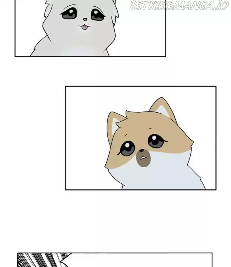 The Dog Diaries Chapter 29