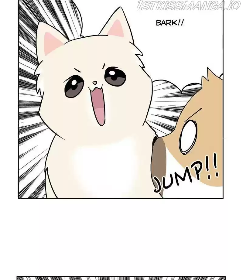 The Dog Diaries Chapter 29