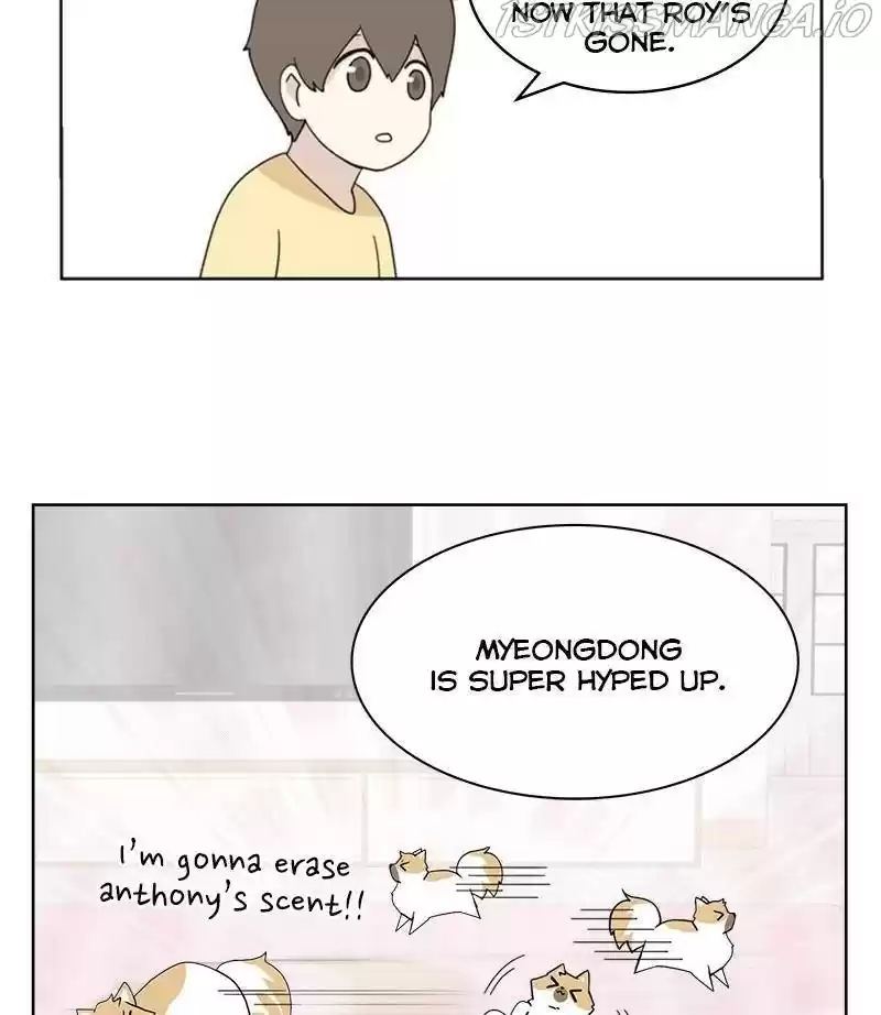 The Dog Diaries Chapter 29