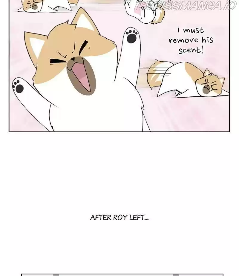 The Dog Diaries Chapter 29