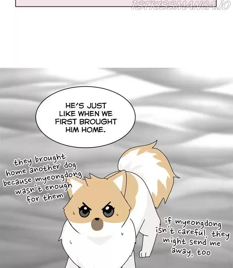 The Dog Diaries Chapter 29