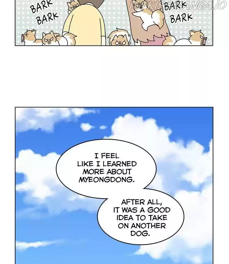 The Dog Diaries Chapter 29