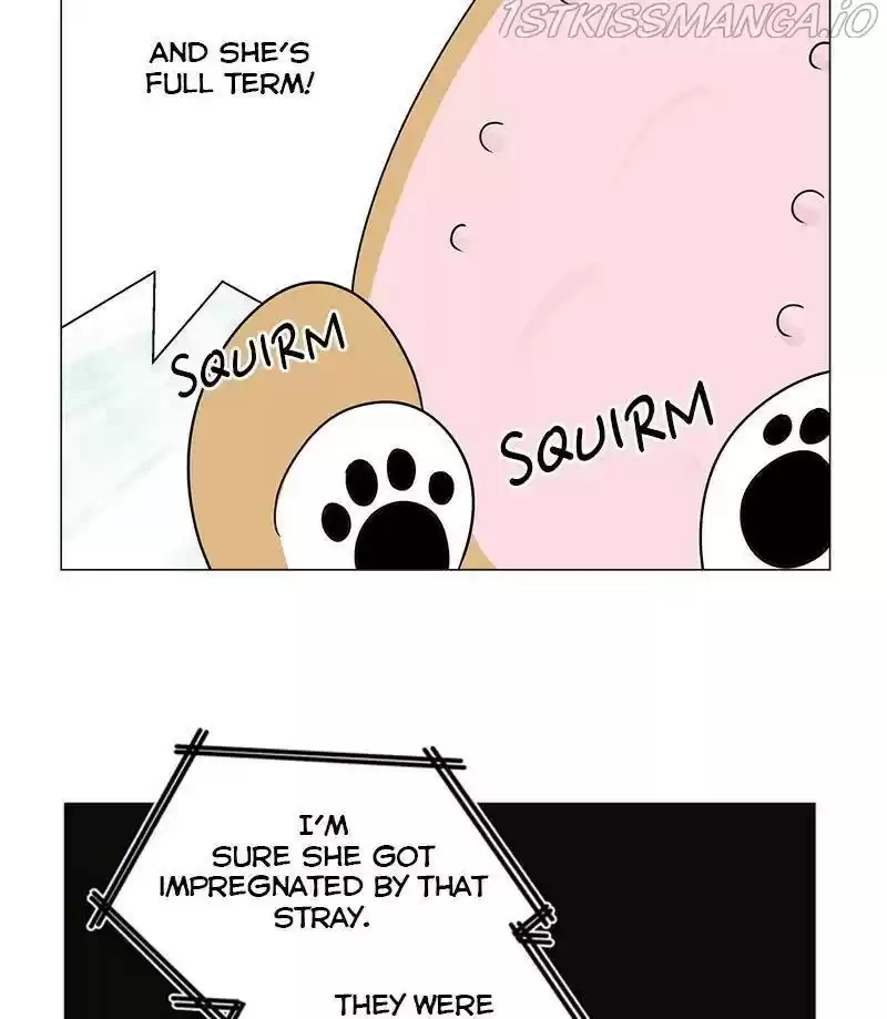 The Dog Diaries Chapter 29