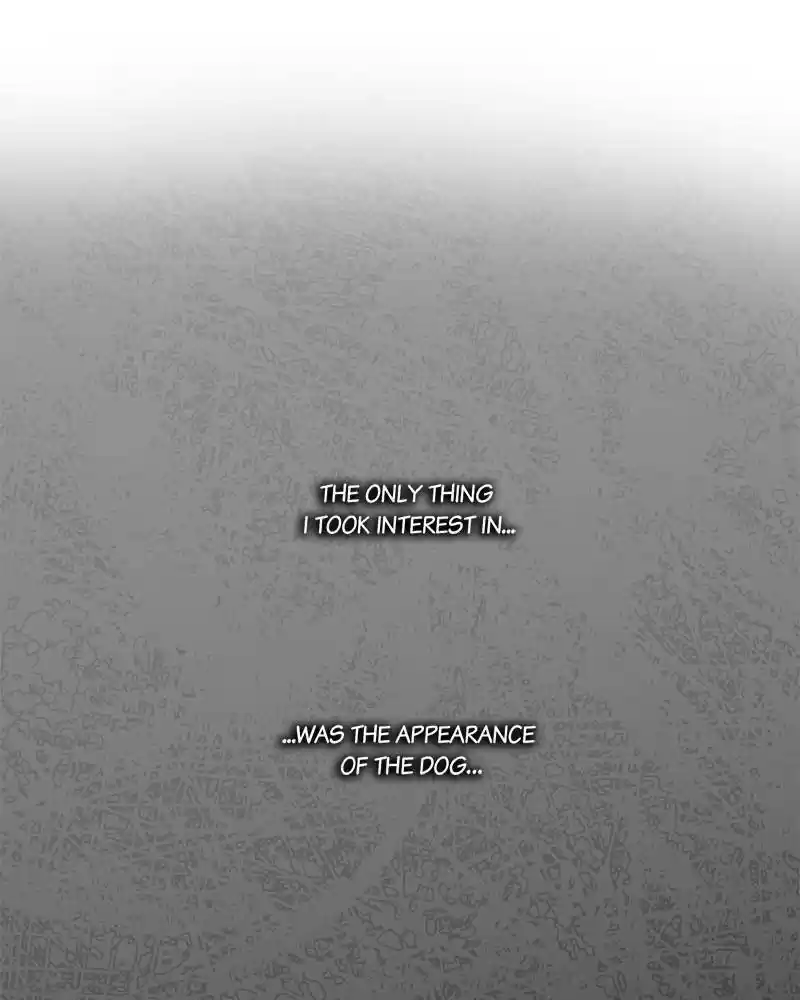 The Dog Diaries Chapter 3