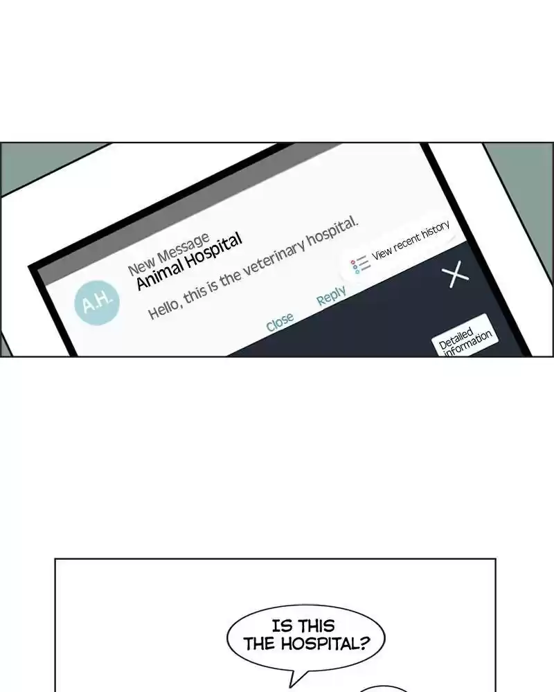 The Dog Diaries Chapter 3