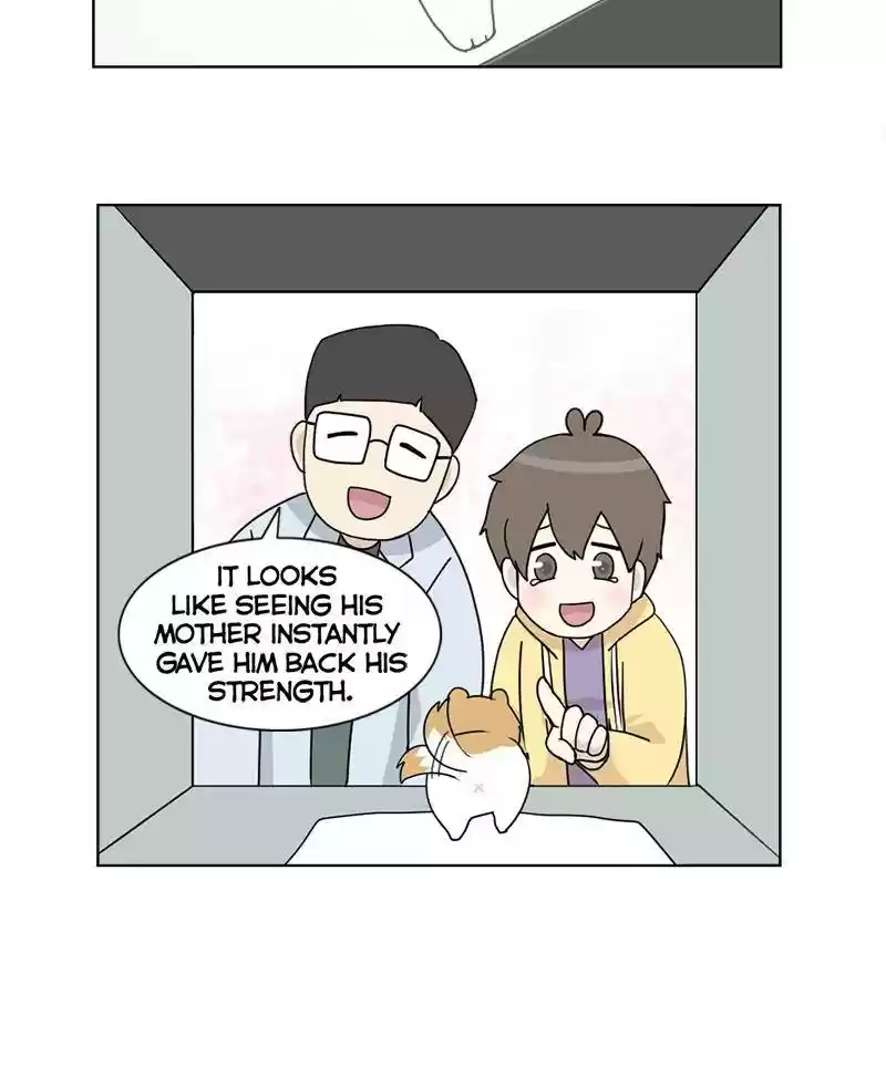 The Dog Diaries Chapter 3