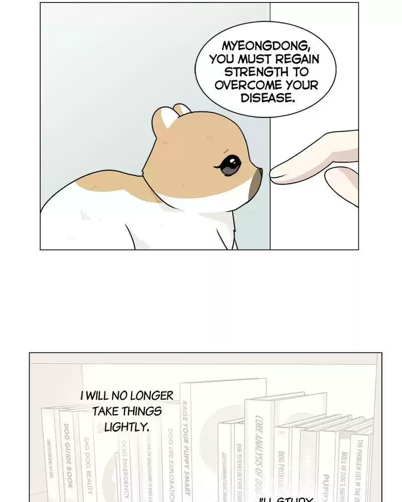 The Dog Diaries Chapter 3