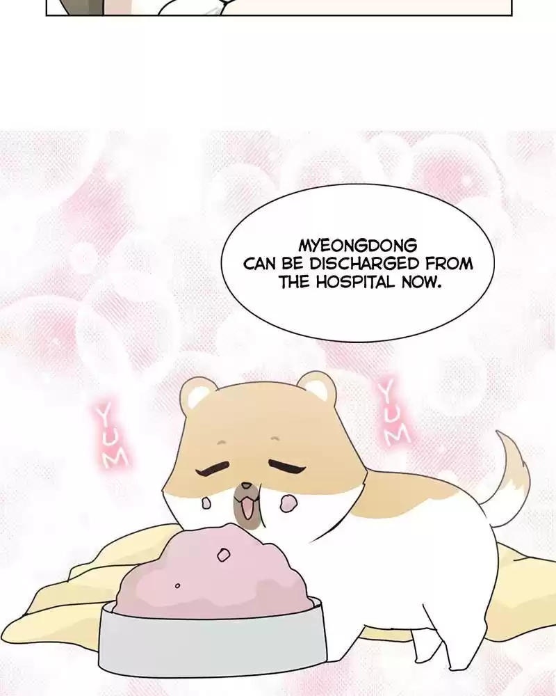 The Dog Diaries Chapter 3