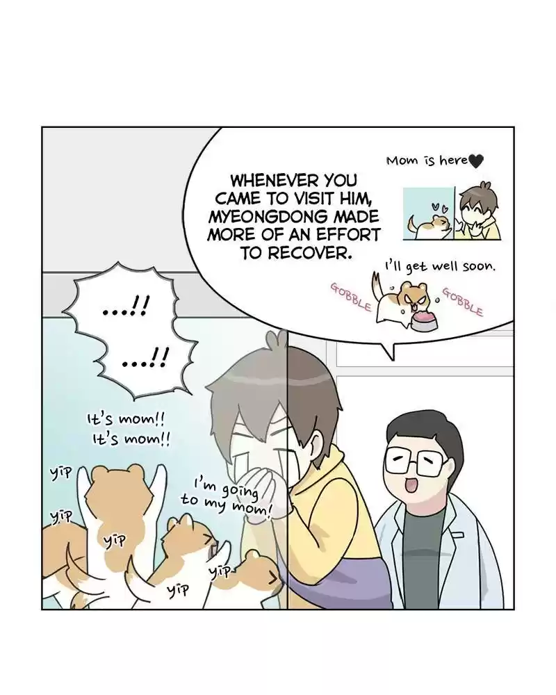 The Dog Diaries Chapter 3