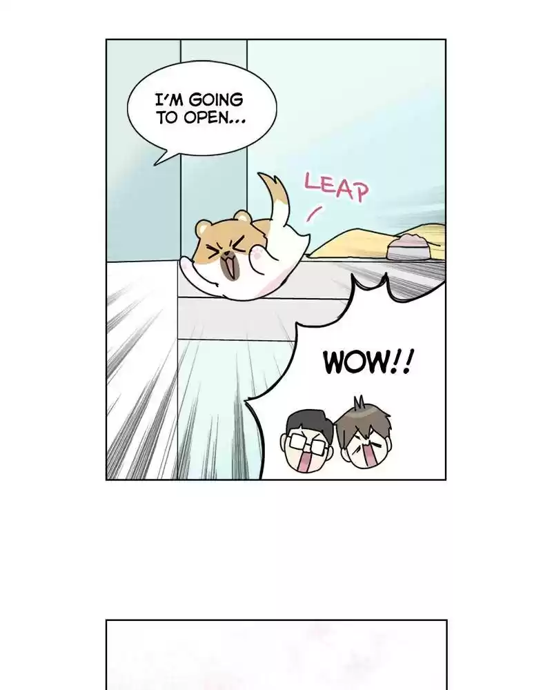 The Dog Diaries Chapter 3