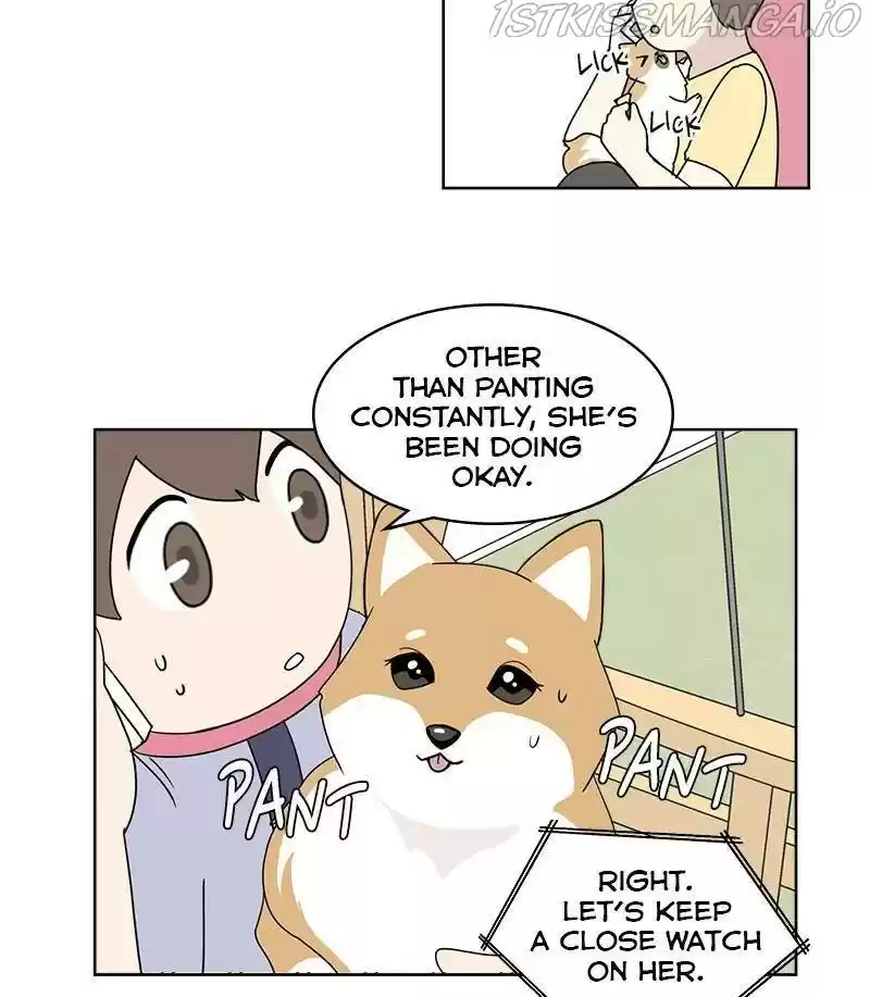 The Dog Diaries Chapter 30