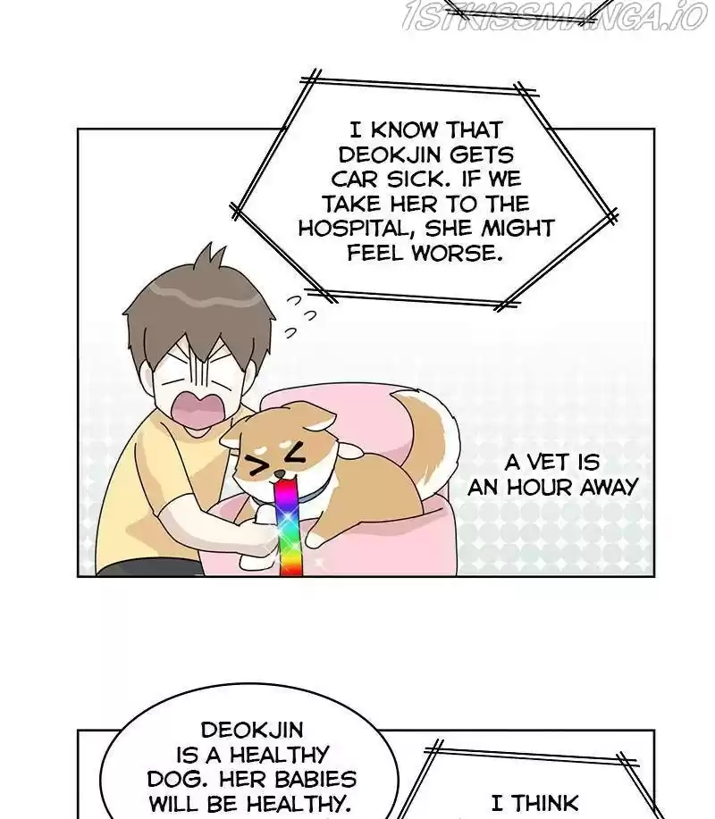 The Dog Diaries Chapter 30