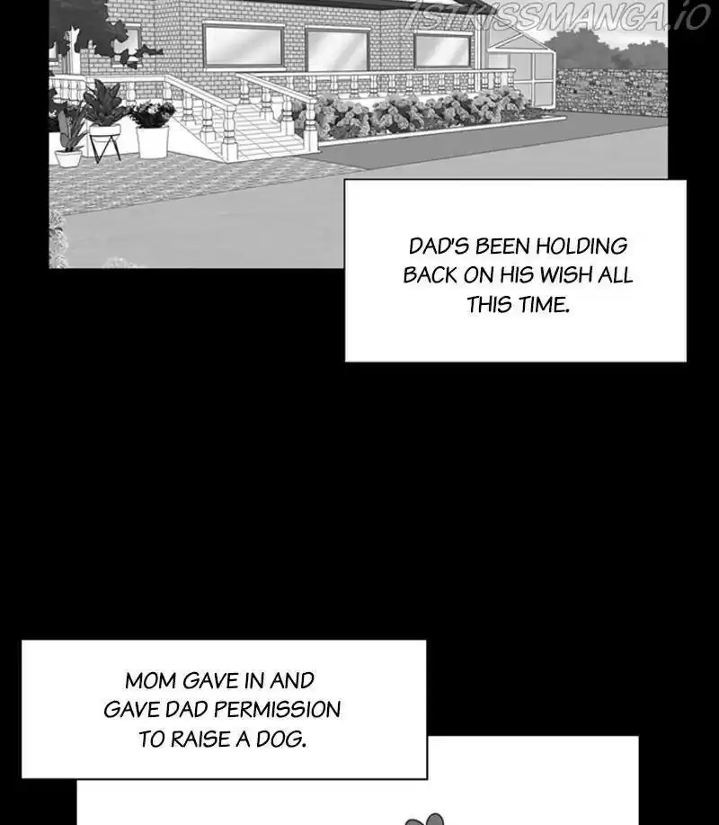 The Dog Diaries Chapter 30