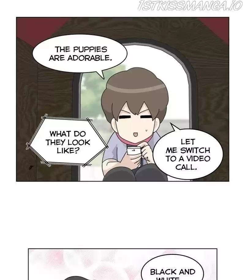 The Dog Diaries Chapter 31