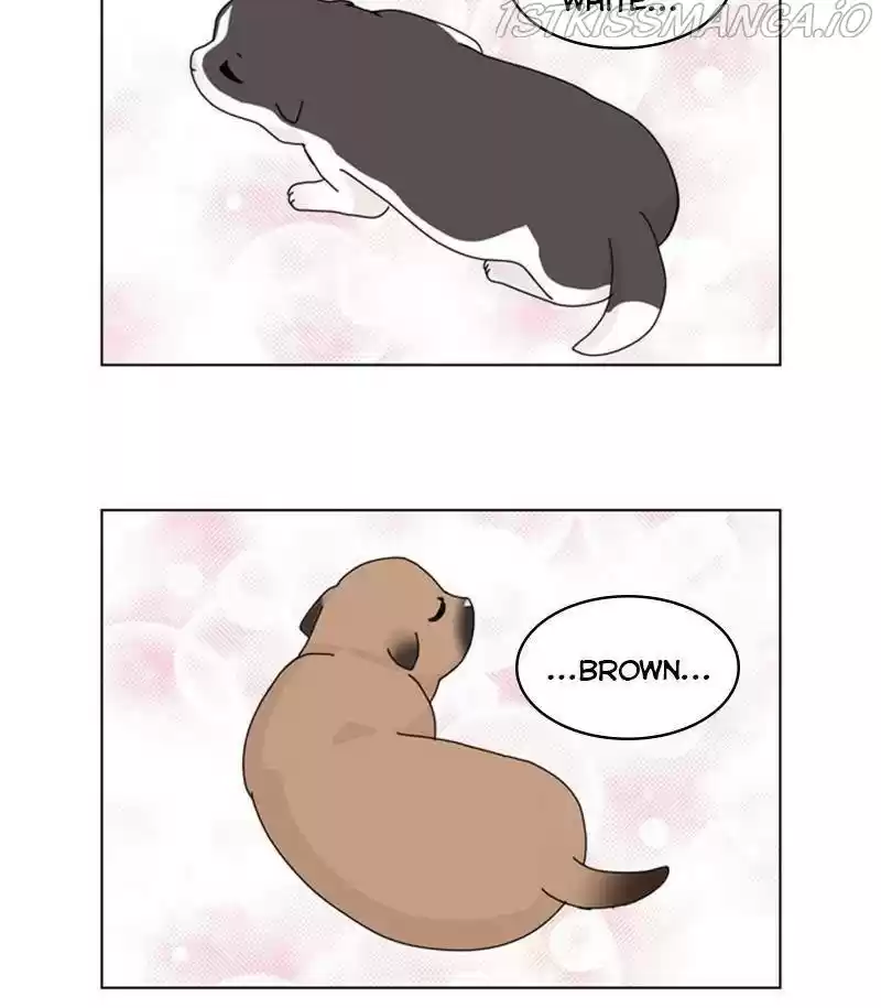 The Dog Diaries Chapter 31