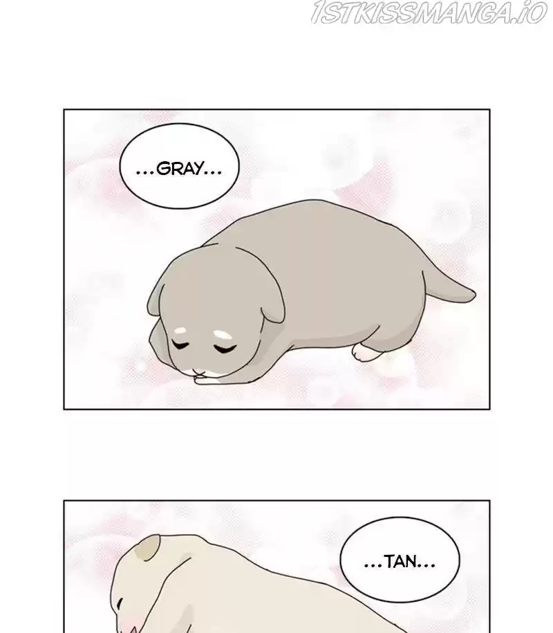 The Dog Diaries Chapter 31