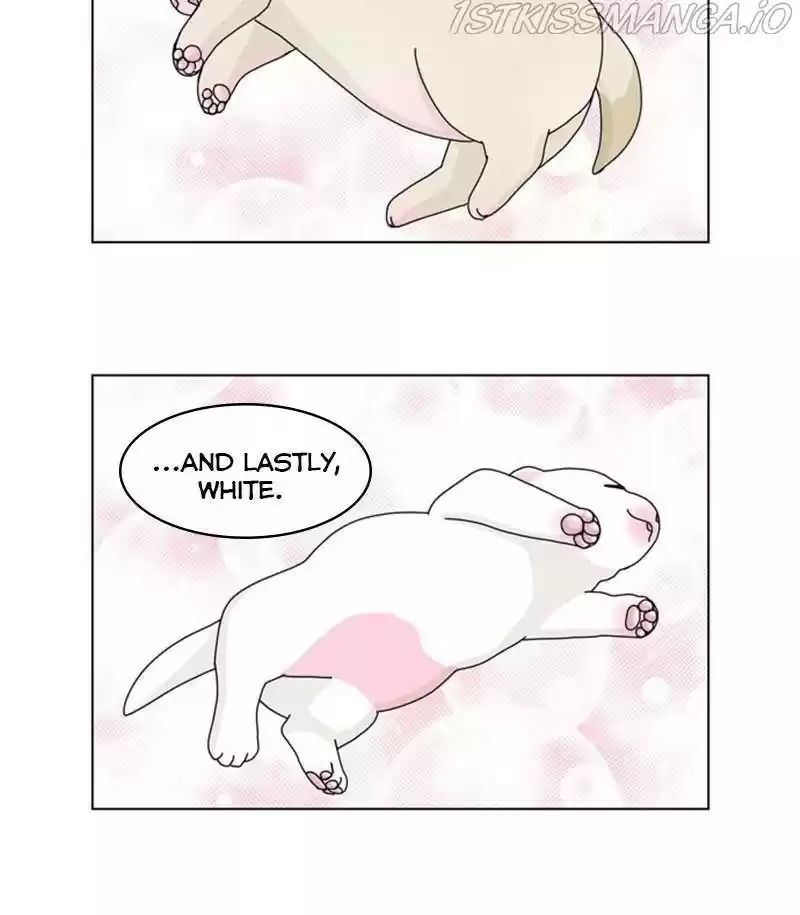 The Dog Diaries Chapter 31