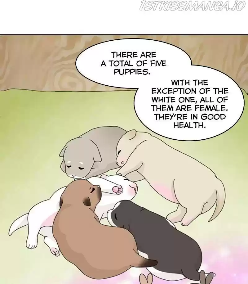 The Dog Diaries Chapter 31