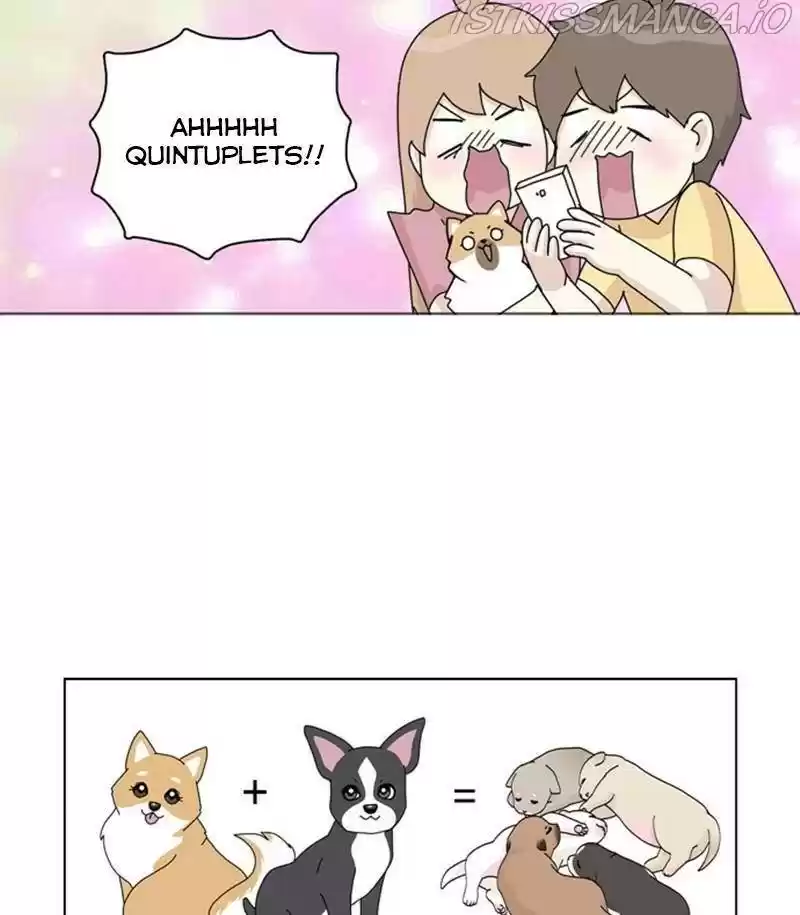 The Dog Diaries Chapter 31