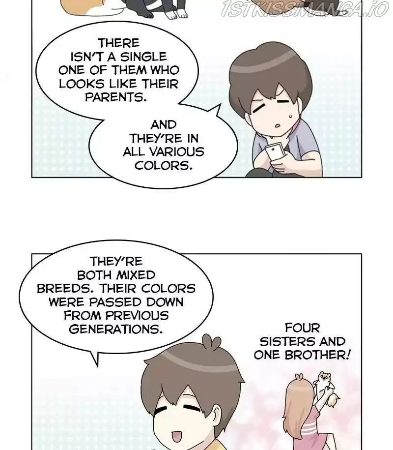 The Dog Diaries Chapter 31