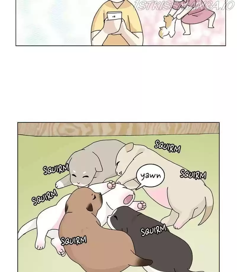 The Dog Diaries Chapter 31