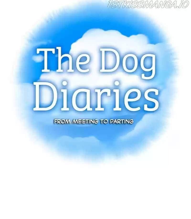 The Dog Diaries Chapter 31