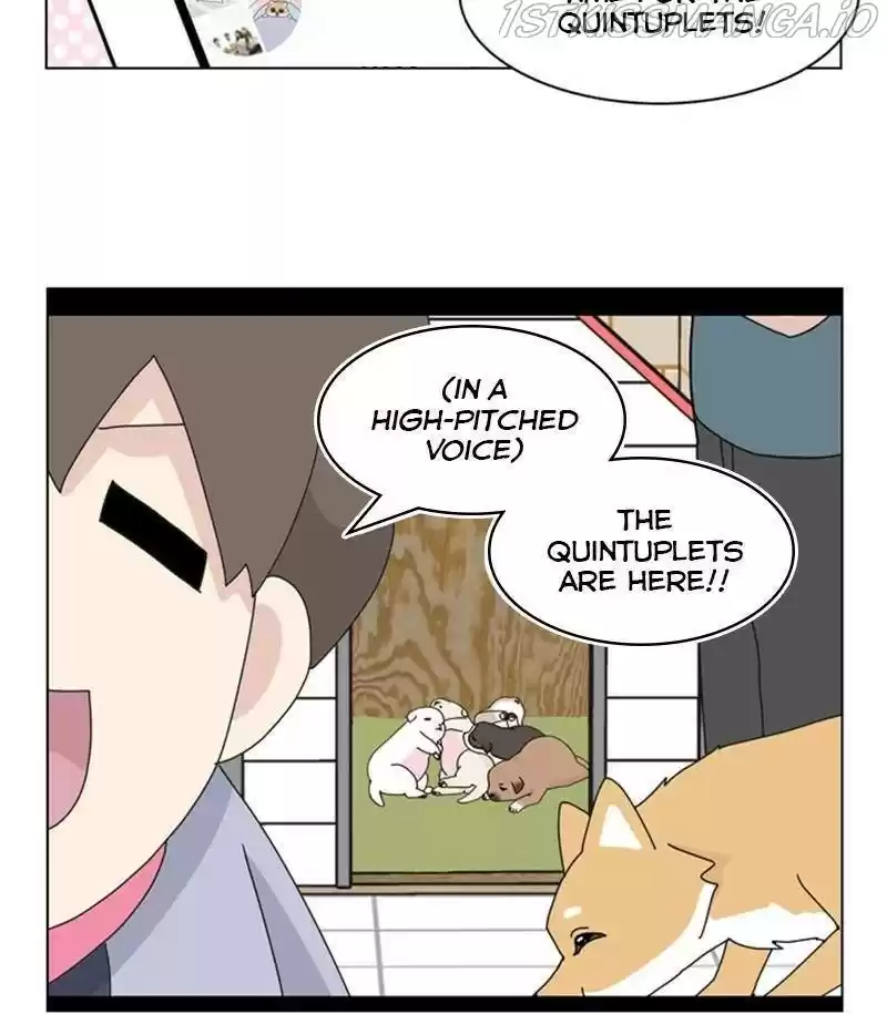 The Dog Diaries Chapter 31