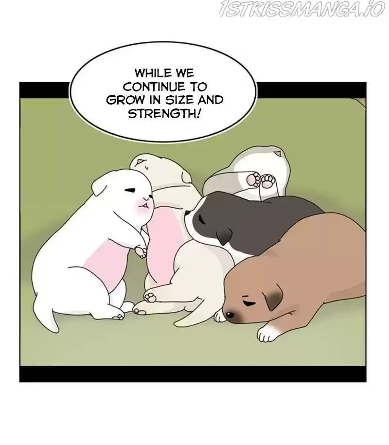 The Dog Diaries Chapter 31