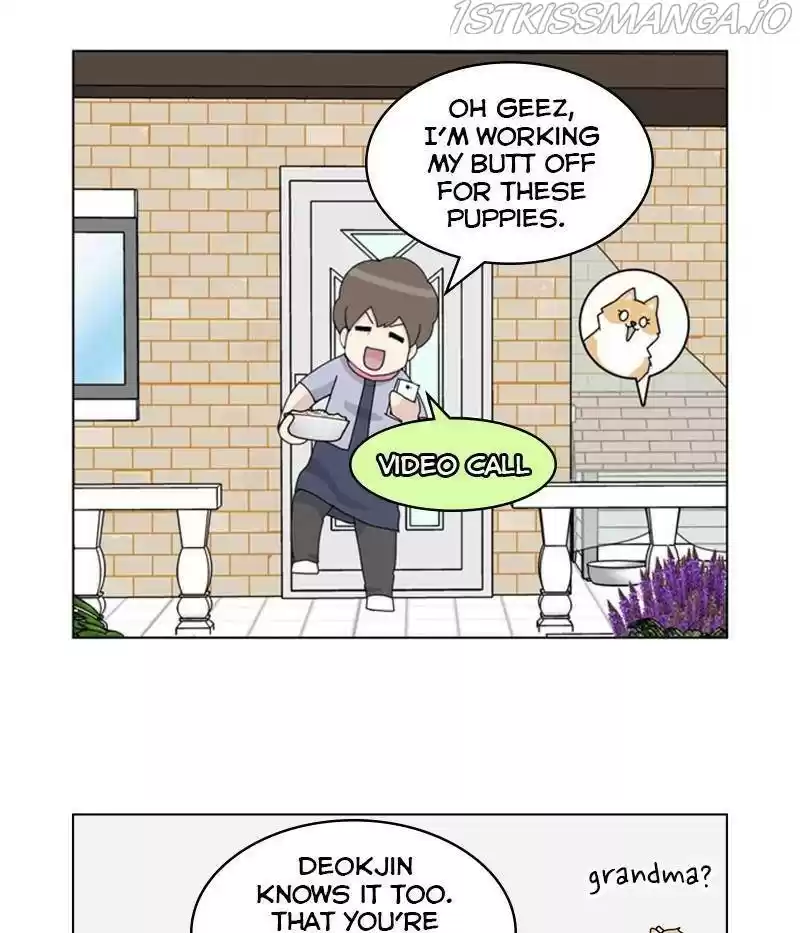 The Dog Diaries Chapter 31