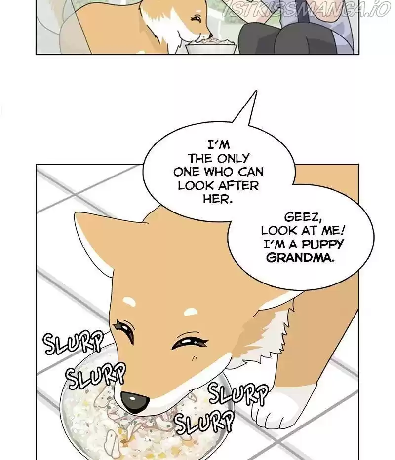 The Dog Diaries Chapter 31