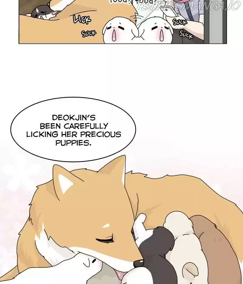 The Dog Diaries Chapter 31