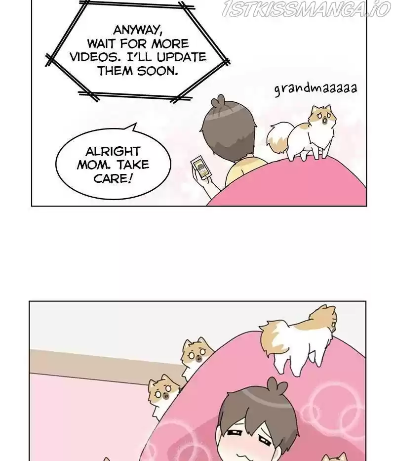 The Dog Diaries Chapter 31