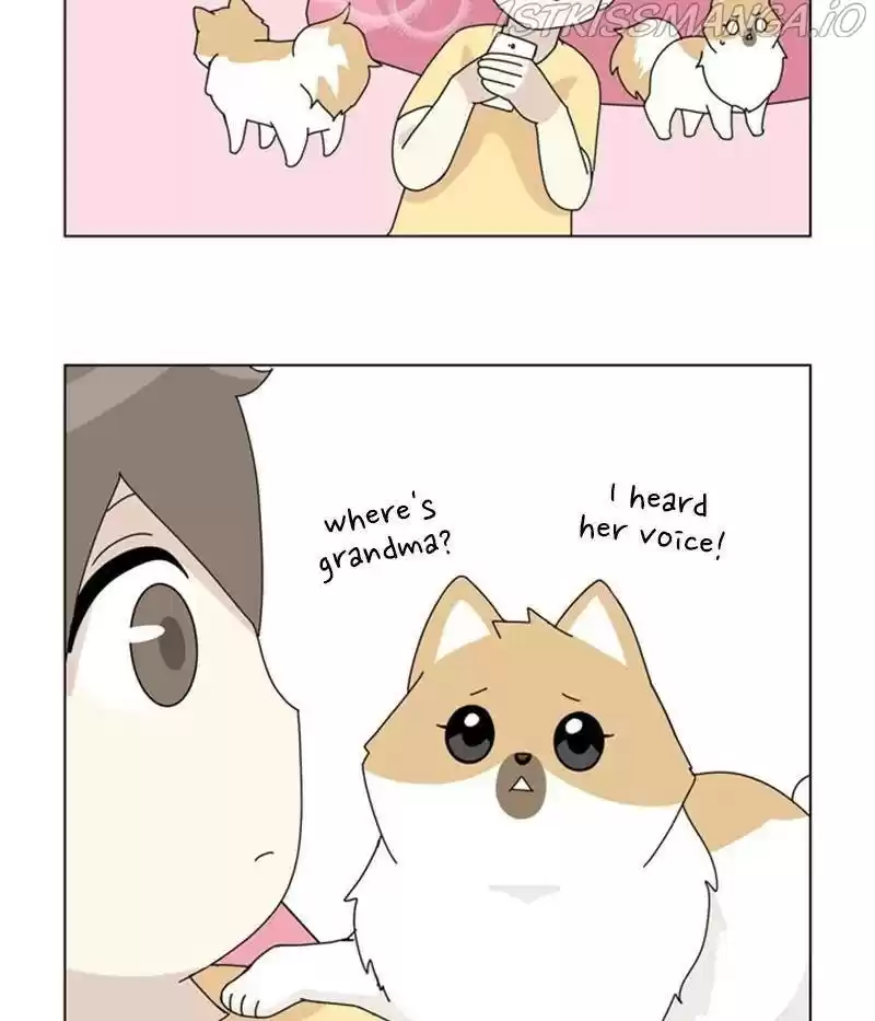 The Dog Diaries Chapter 31