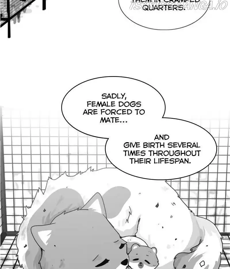 The Dog Diaries Chapter 31