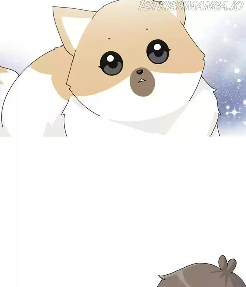 The Dog Diaries Chapter 31