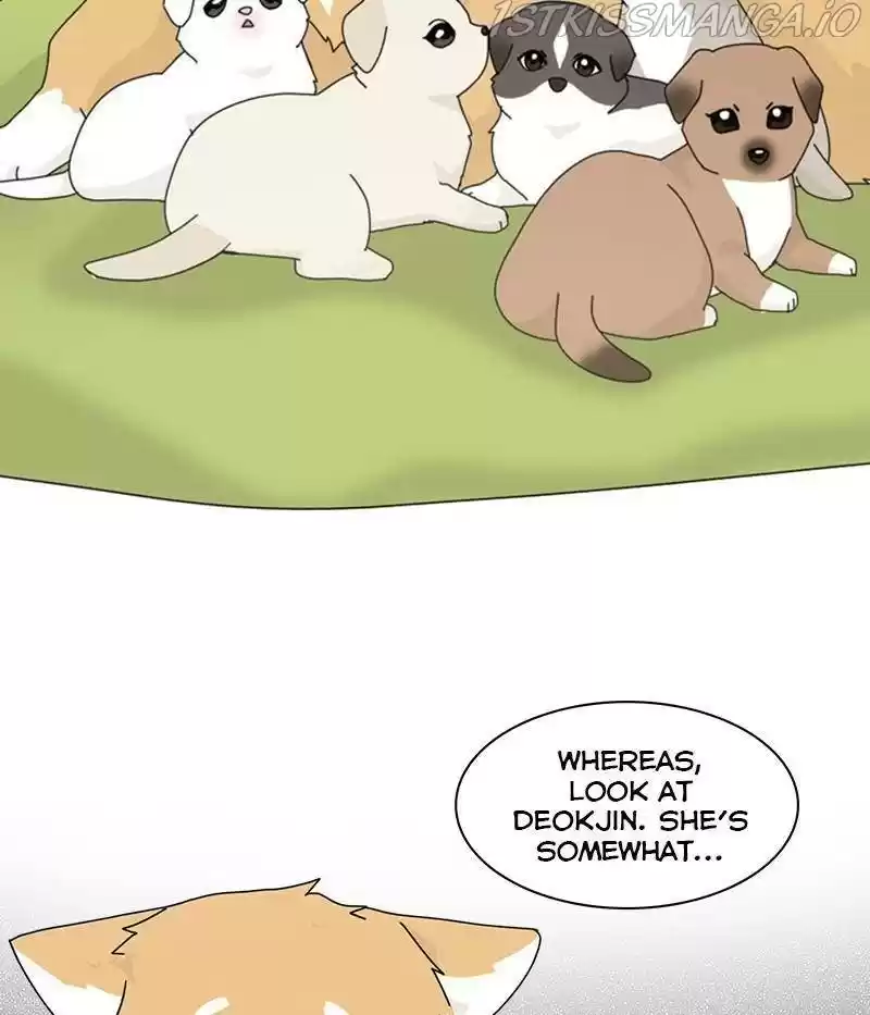 The Dog Diaries Chapter 31