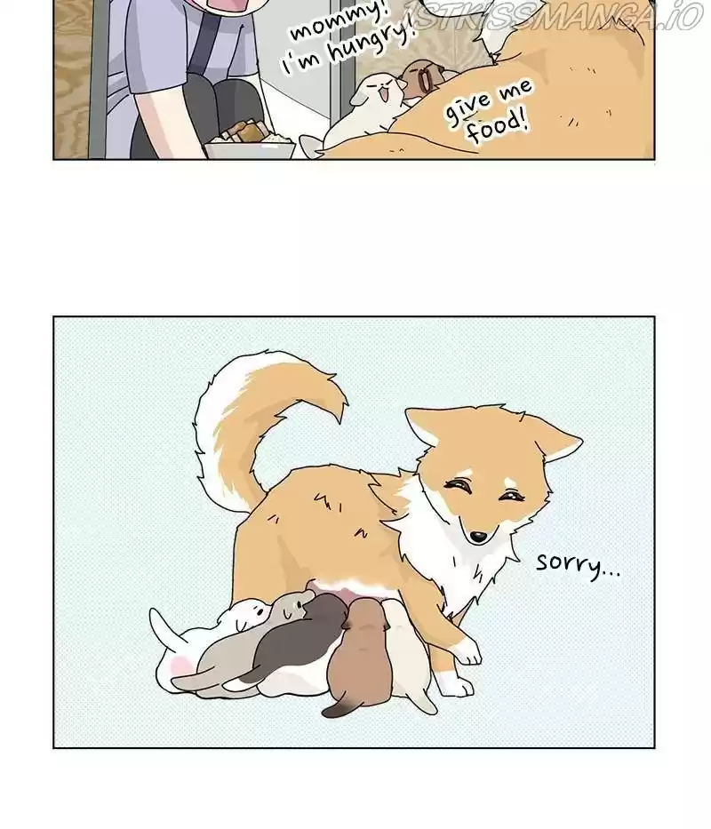 The Dog Diaries Chapter 31