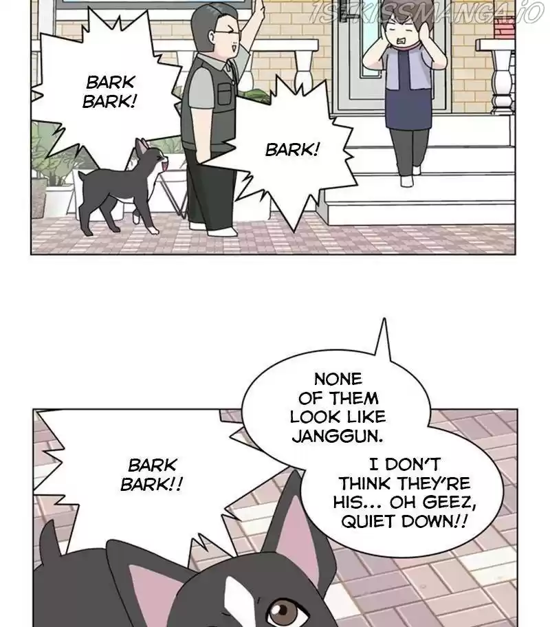 The Dog Diaries Chapter 31